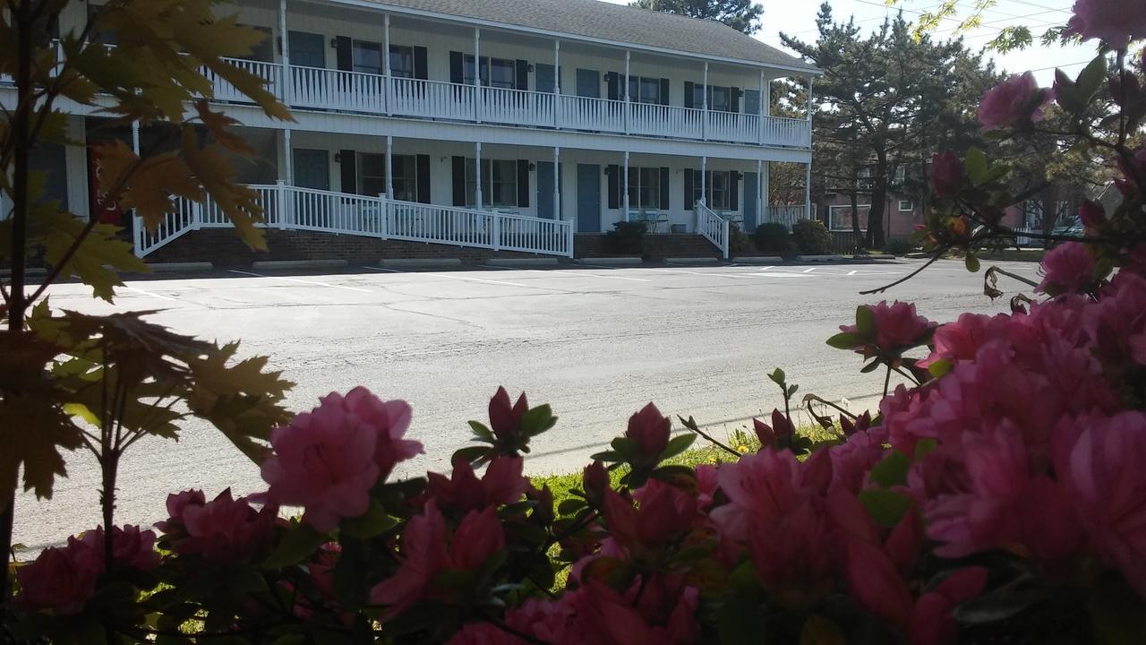 Sea Shell Motel Чинкотиг Экстерьер фото
